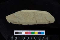 藏品(矛鏃)的圖片