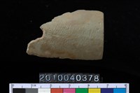 藏品(矛鏃)的圖片