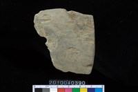 藏品(矛鏃)的圖片