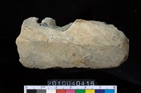 藏品(矛鏃)的圖片