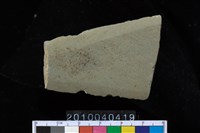 藏品(矛鏃)的圖片