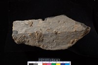 藏品(矛鏃)的圖片