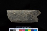 藏品(矛鏃)的圖片