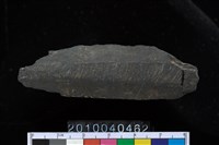 藏品(矛鏃)的圖片