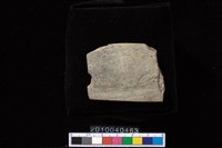 藏品(矛鏃)的圖片