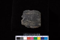 藏品(矛鏃)的圖片