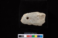 藏品(矛鏃)的圖片