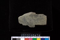 藏品(矛鏃)的圖片