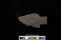 藏品(矛鏃)的圖片