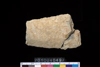 藏品(矛鏃)的圖片