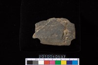 藏品(矛鏃)的圖片