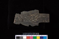 藏品(矛鏃)的圖片