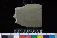 藏品(矛鏃)的圖片