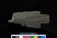 藏品(矛鏃)的圖片