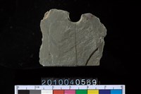 藏品(矛鏃)的圖片