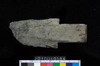 藏品(矛鏃)的圖片