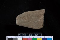 藏品(矛鏃)的圖片