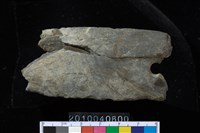 藏品(矛鏃)的圖片