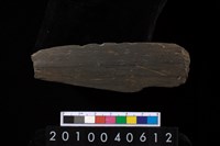 藏品(矛鏃)的圖片