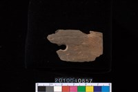 藏品(矛鏃)的圖片