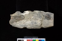 藏品(矛鏃)的圖片