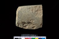 藏品(石錛)的圖片