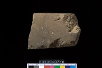 藏品(石錛)的圖片