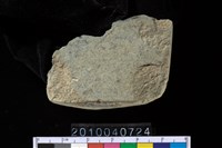 藏品(石錛)的圖片