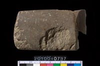 藏品(石錛)的圖片