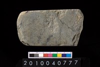 藏品(石錛)的圖片