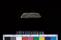 藏品(石針)的圖片