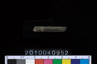 藏品(石針)的圖片