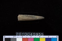 藏品(石針)的圖片