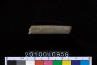 藏品(石針)的圖片