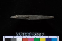 藏品(石針)的圖片