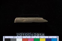 藏品(石針)的圖片