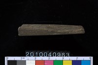 藏品(石針)的圖片