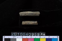 藏品(石針)的圖片