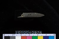 藏品(石針)的圖片
