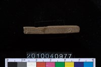 藏品(石針)的圖片