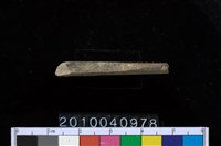 藏品(石針)的圖片