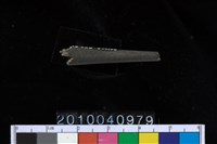 藏品(石針)的圖片