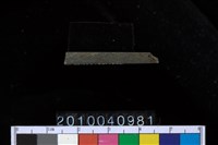 藏品(石針)的圖片