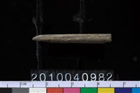 藏品(石針)的圖片