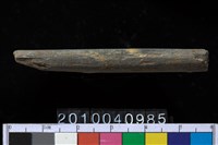 藏品(石針)的圖片