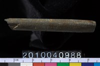 藏品(石針)的圖片