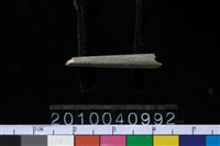 藏品(石針)的圖片