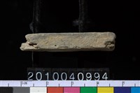 藏品(石針)的圖片