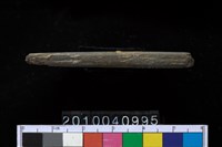 藏品(石針)的圖片