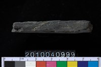 藏品(石針)的圖片